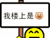 我楼上是猪