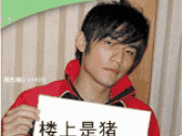 楼上是猪楼下也是猪