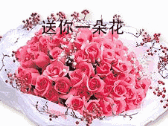 送你一朵花
