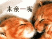 来亲一嘴