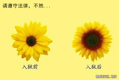 请遵守法律，不然...入狱前，入狱后