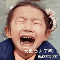 太欺负人了