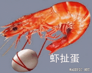 虾扯蛋