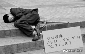 专业程序ASP，ASP.NET开发